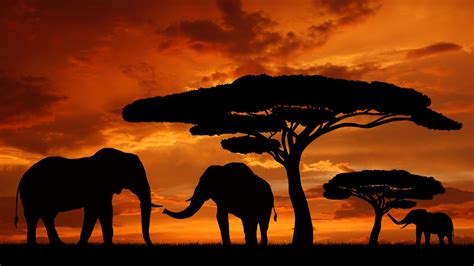 african background pictures|beautiful pics of africa.